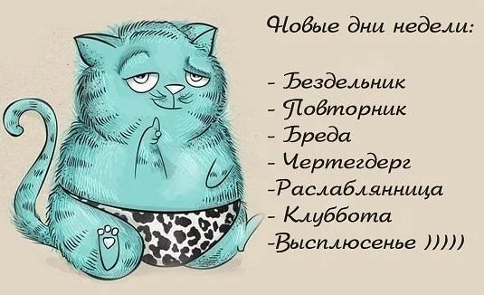 мпекв.webp