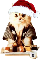 mpKjRIpVeno1.webp