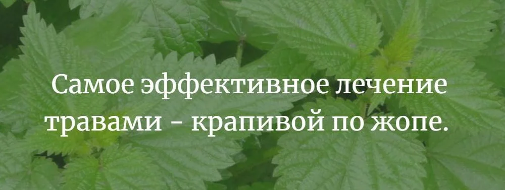 мудрость 2.webp