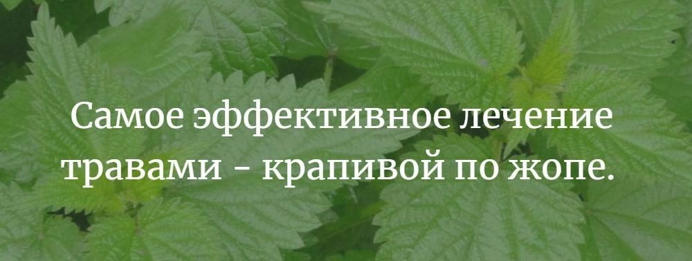 мудрость 2.webp