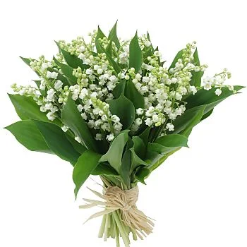 muguet2014.webp
