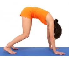 mukha_shvanasana_02_nepr_poyasnica_0.webp