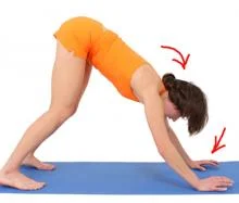 mukha_shvanasana_03__0.webp