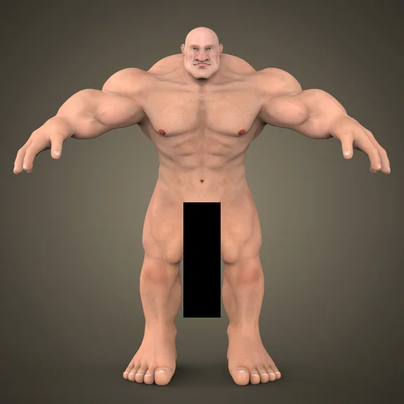 muscular.webp