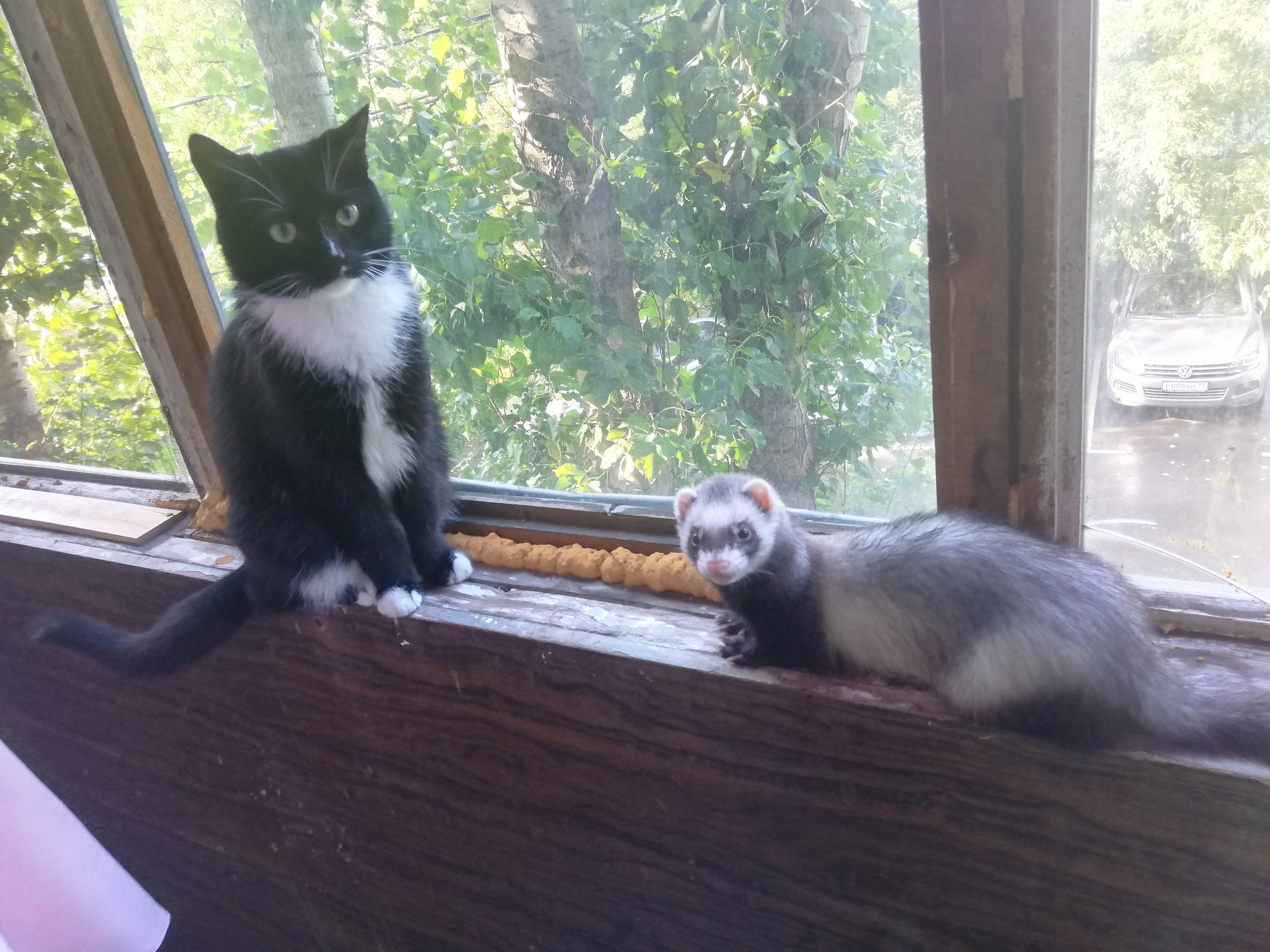 Муся и Соня.webp