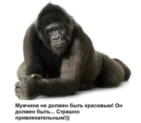мужчина (1).webp