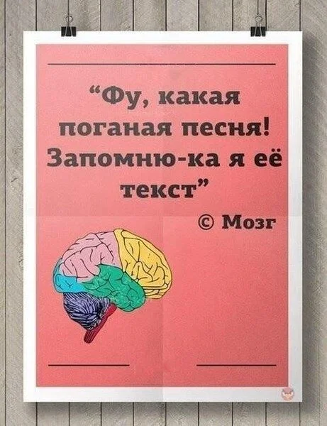музыка-попса-мозг-Жизненно-1141985.webp