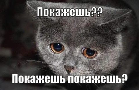 my-awesome-meme (2).webp