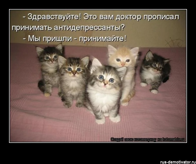 мы пришли.webp