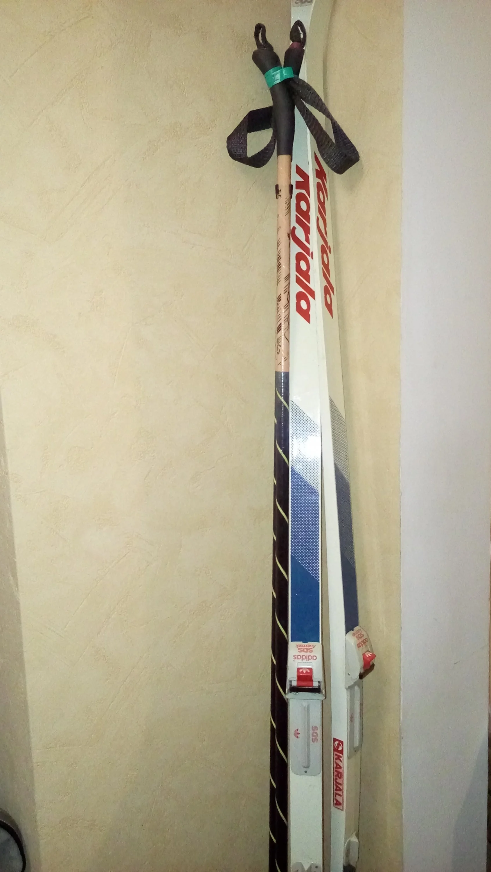 My Racing Ski.webp
