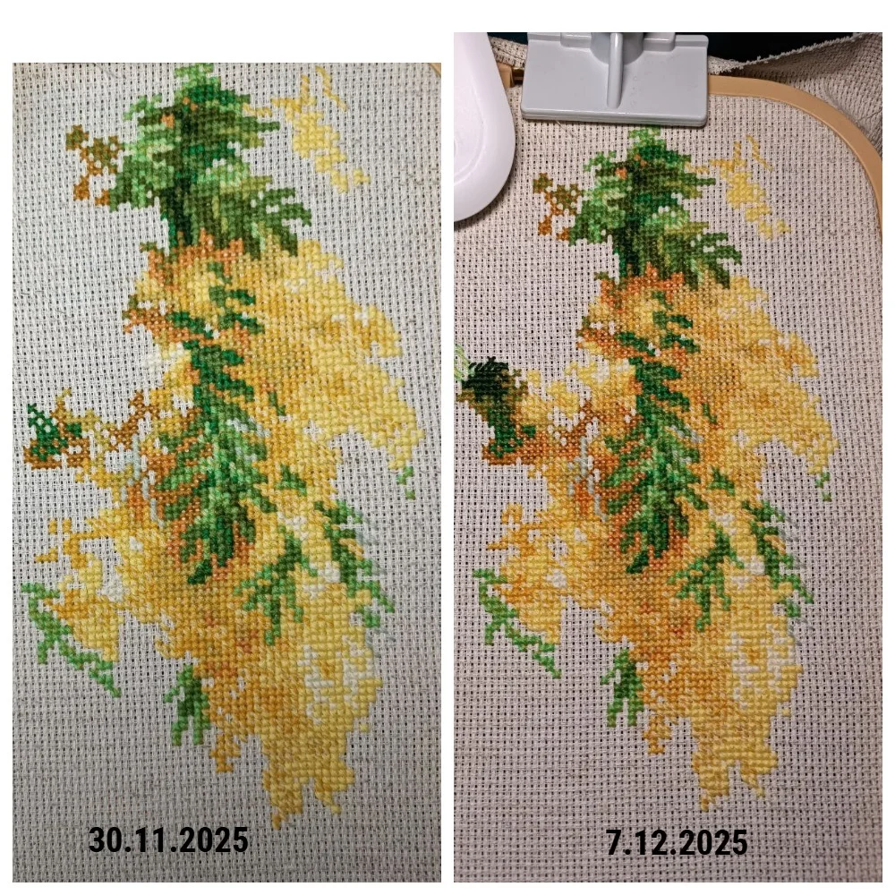 MyCollages (10).webp