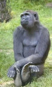 Мыслитель 1.webp