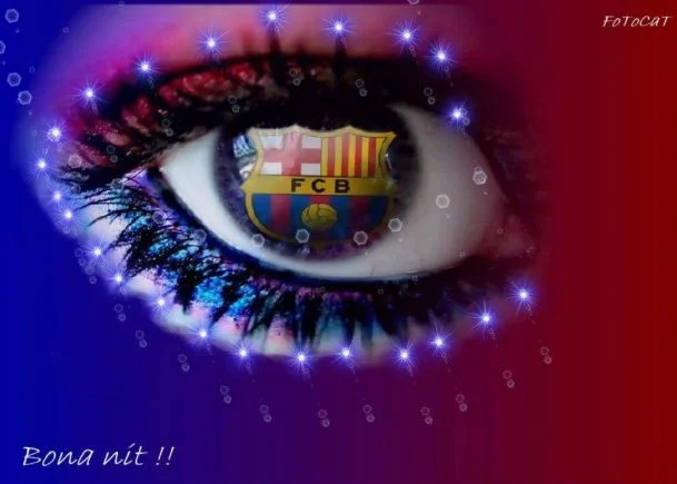 n_f_c_barcelona_escudo-6559506 (1).webp