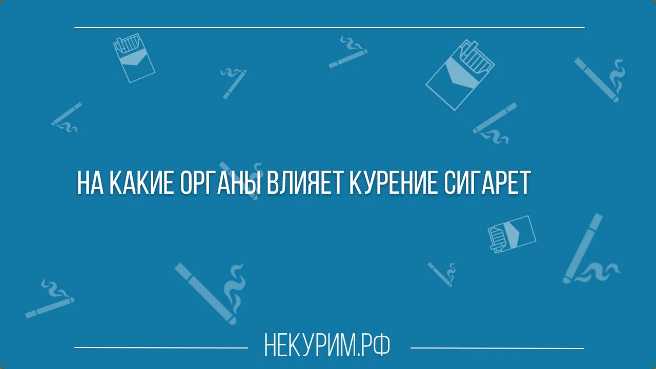 На какие органы влияет курение сигарет.webp
