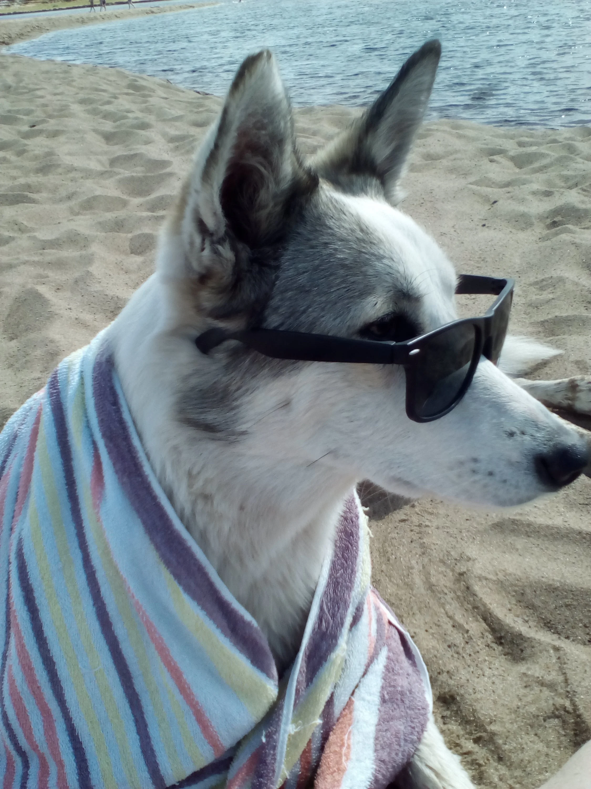 на речке.webp