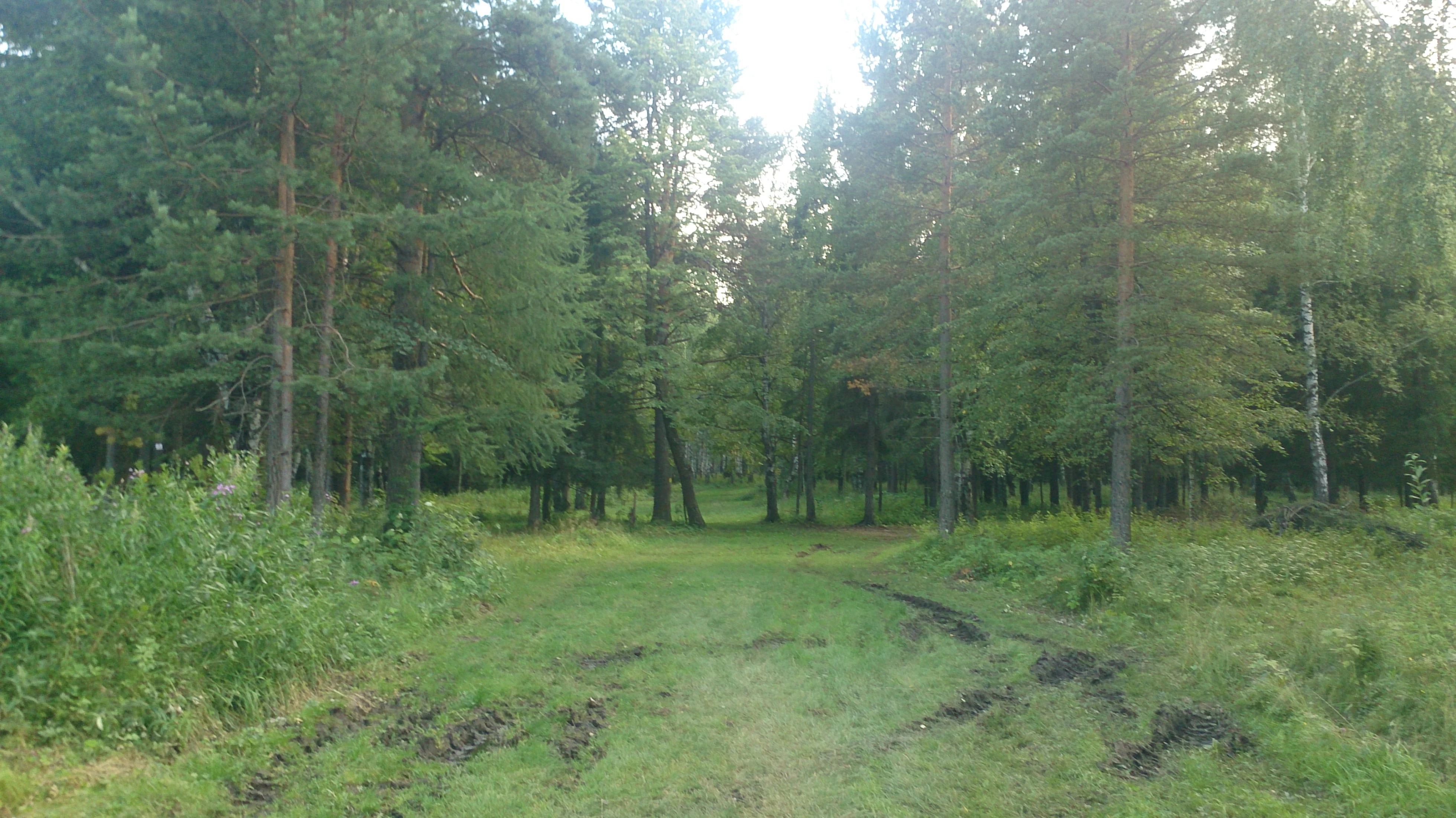 Начало первого подъема (3 км.).webp