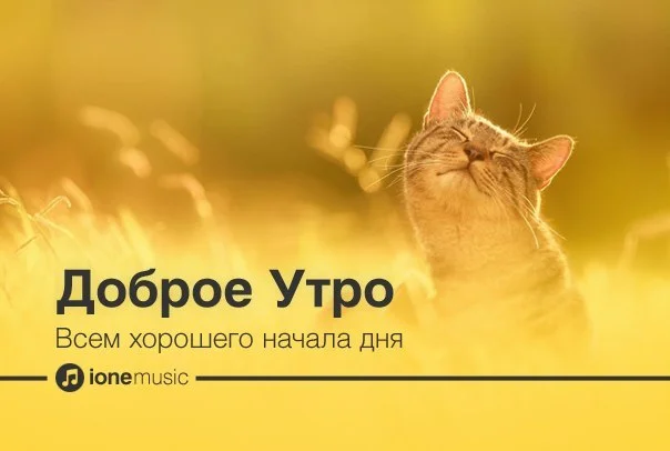 начдень.webp
