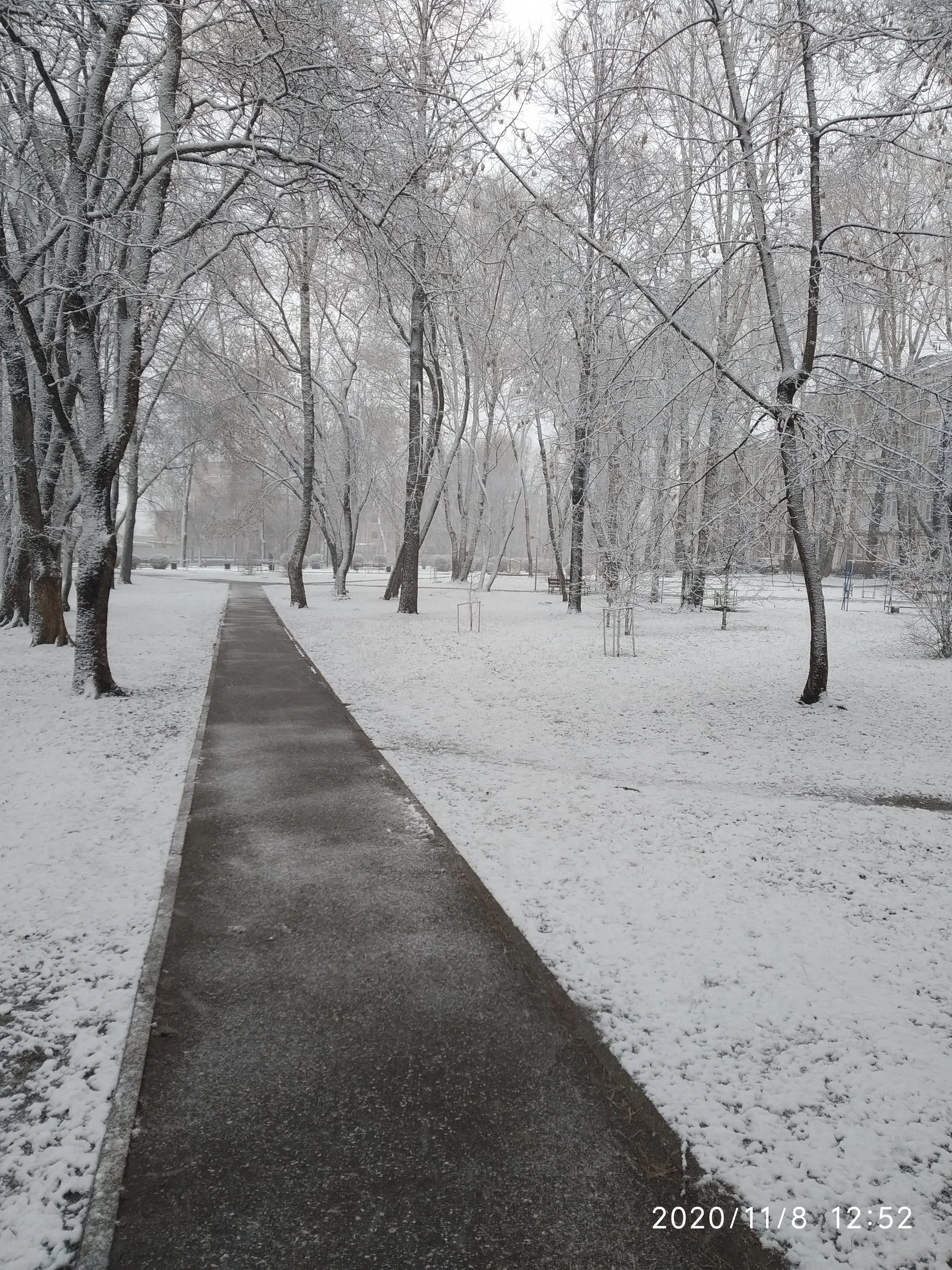 Начинается зима.webp