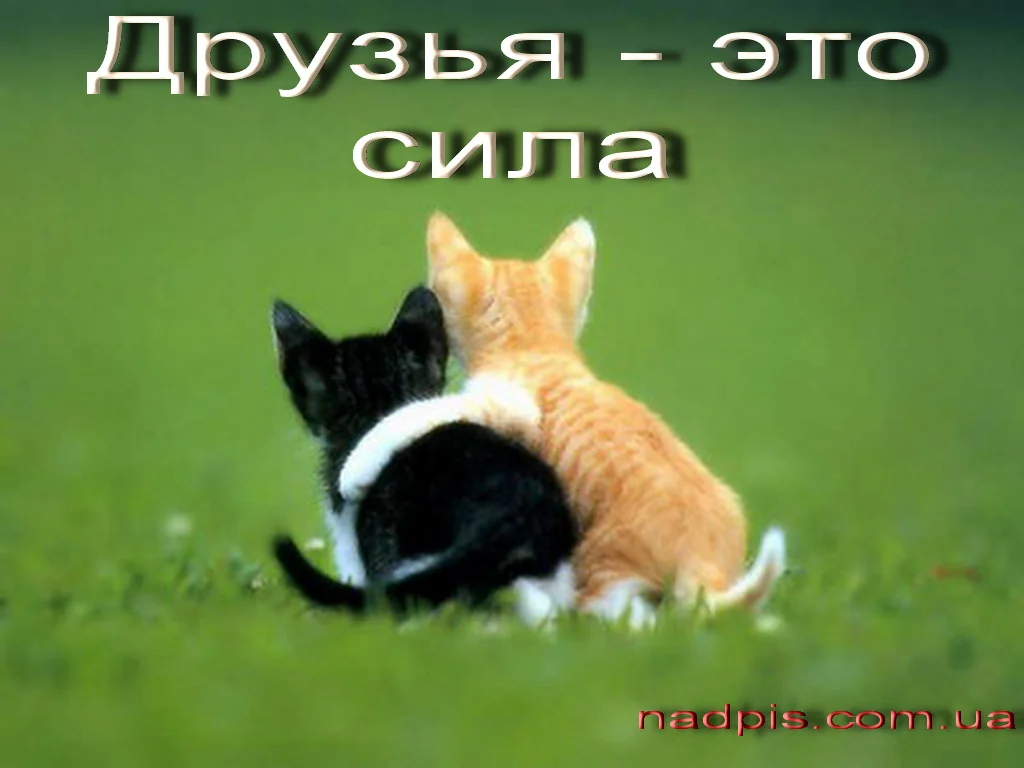 nadpis.com_.uadruzya-eto-sila.webp