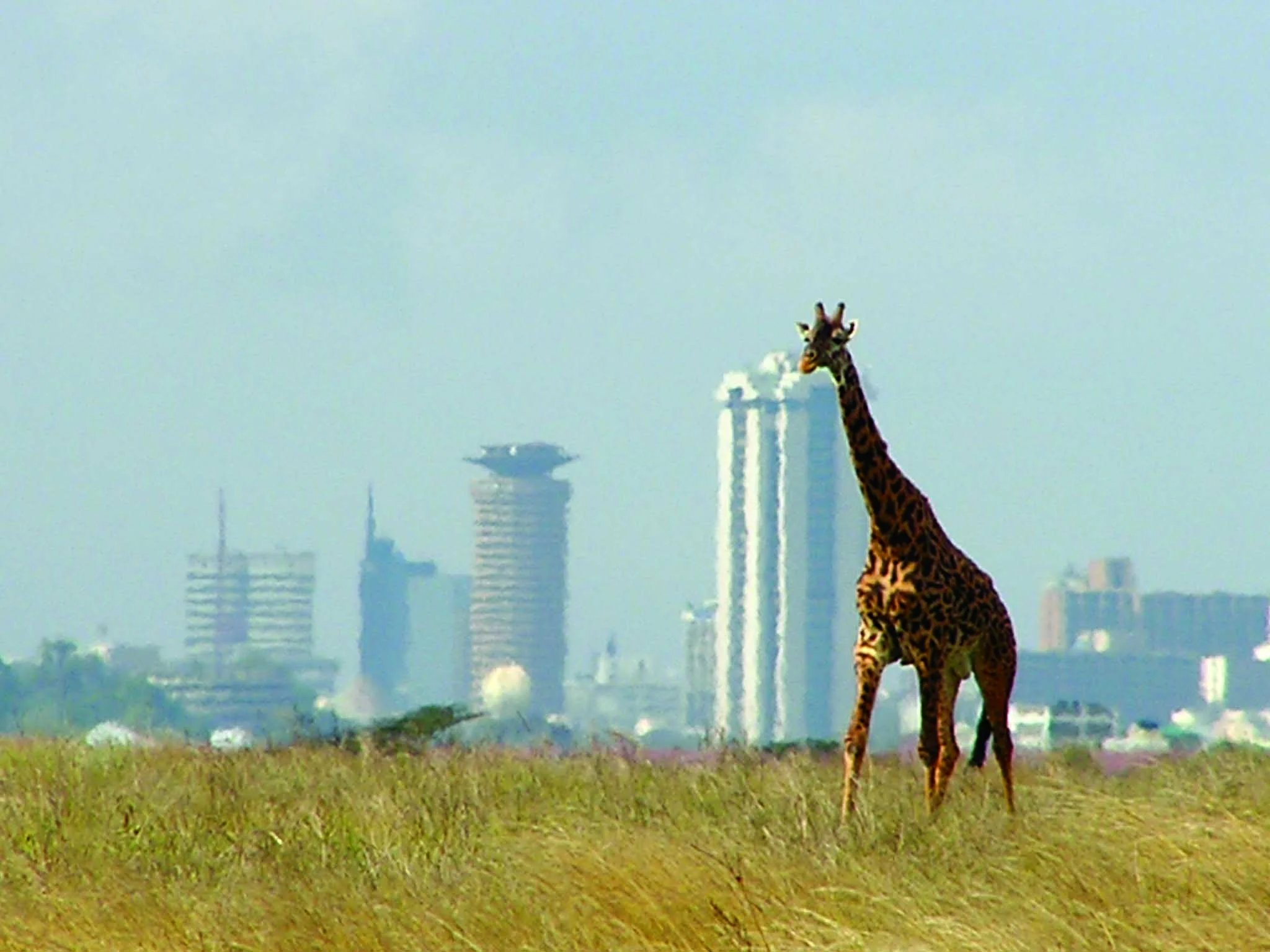 nairobi.webp