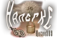 Налегке Алёна909.webp