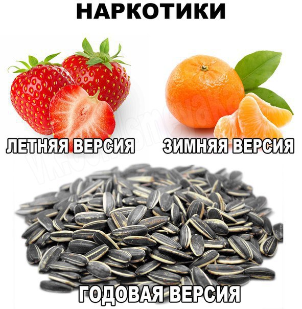 Наркотики по сезонам.jpg