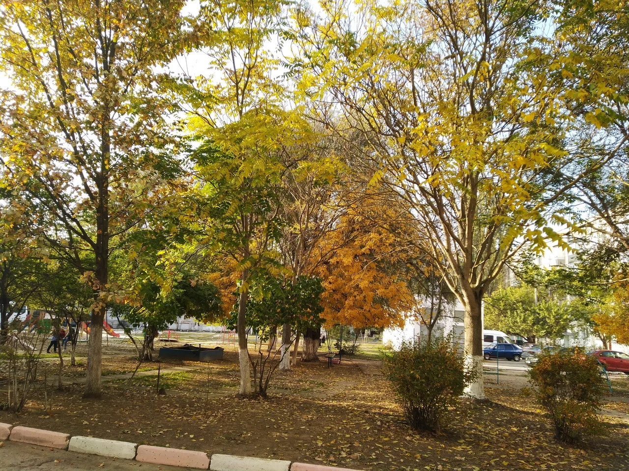 Наш двор.webp