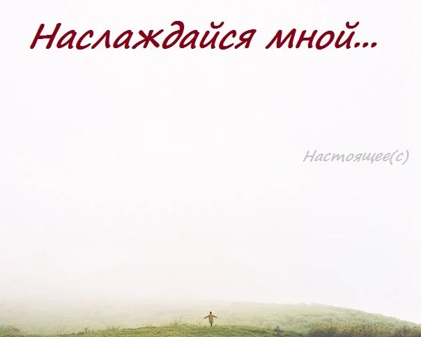 настоящее.webp