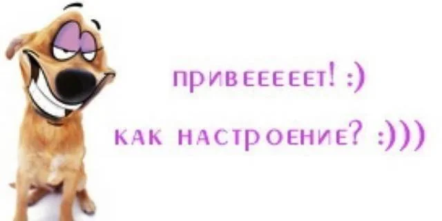 nastroenie_f1338269595_640x480.webp