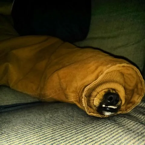 наталья шарова 10.webp