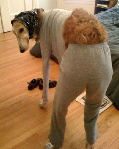 наталья шарова 4.webp