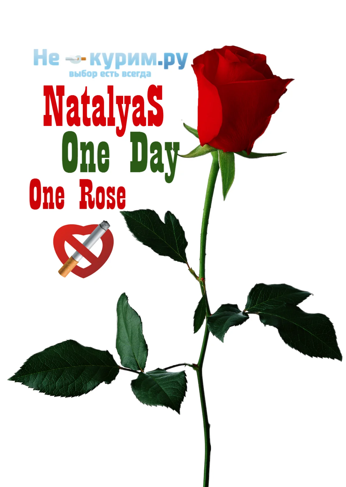 NatalyaS1.webp