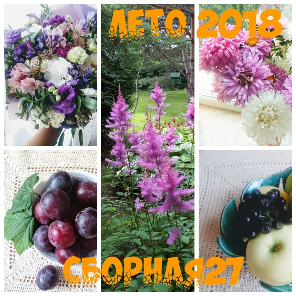 Натик коллаж.webp