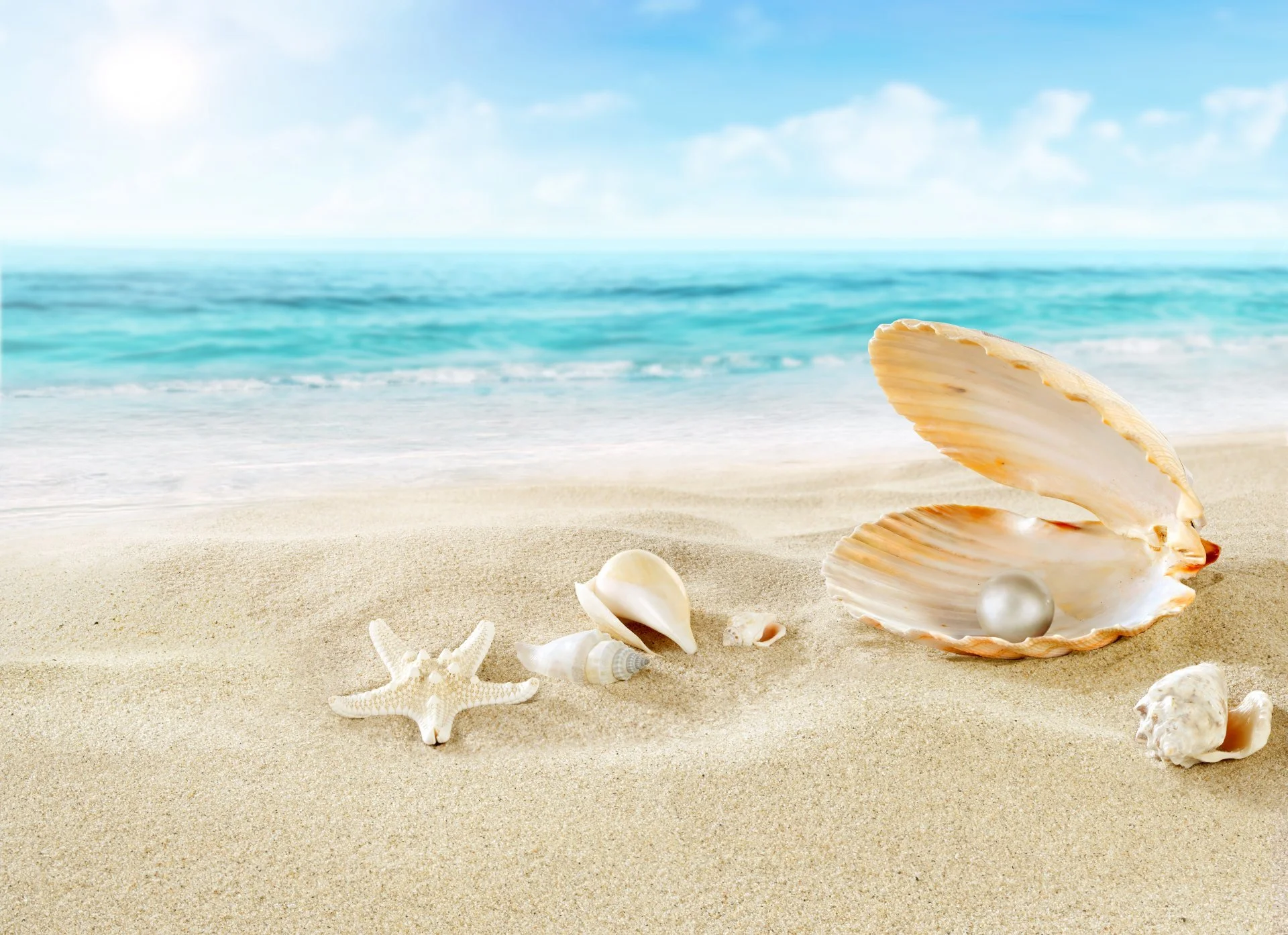 nature-sea-beach-clouds-sand-shells-starfish-pearl.webp
