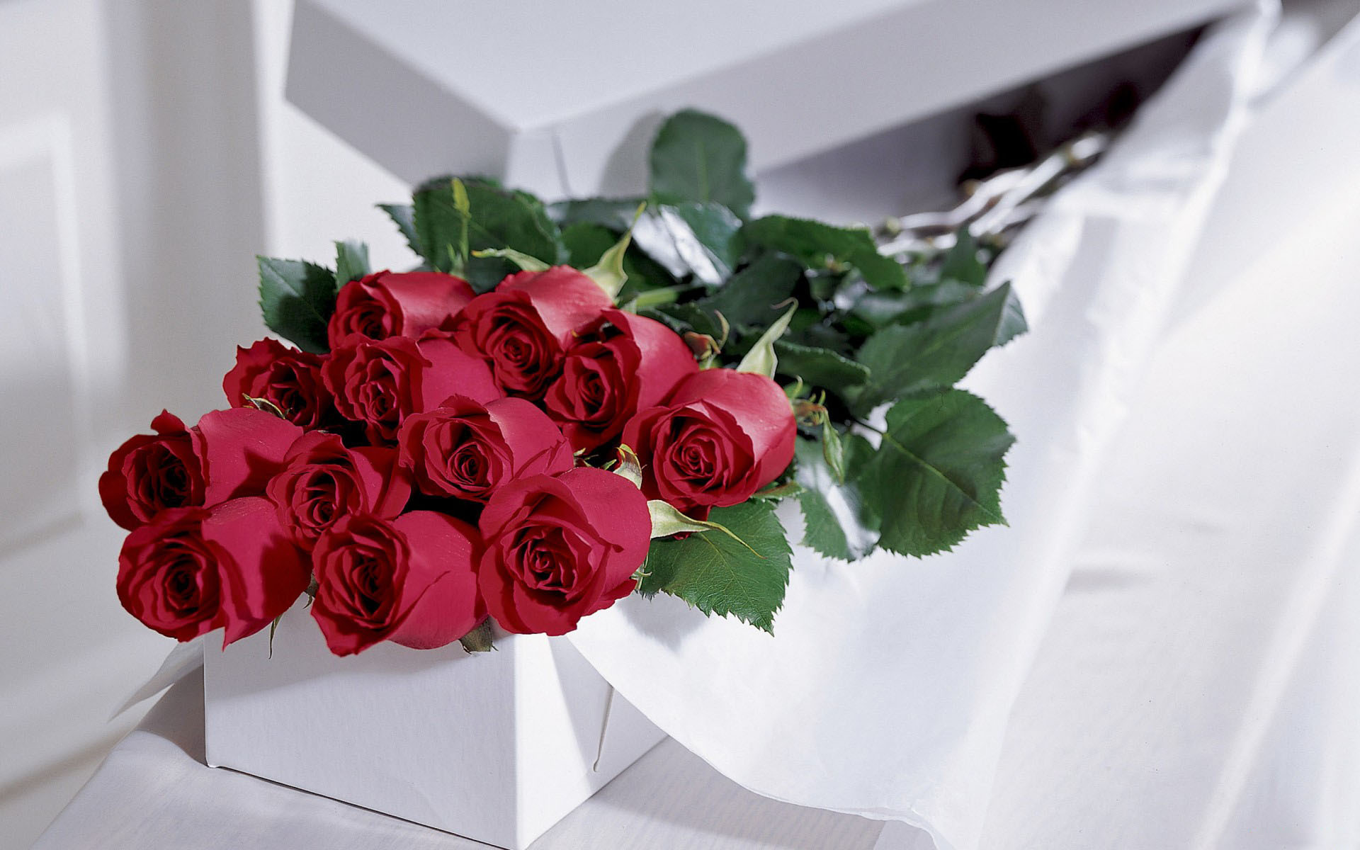 Nature___Flowers_A_gift_and_a_bouquet_of_roses_086792_.jpg