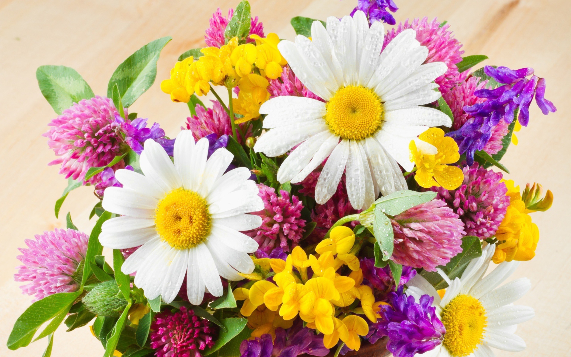 Nature___Flowers_Bouquet_of_field_flowers_042344_18.jpg