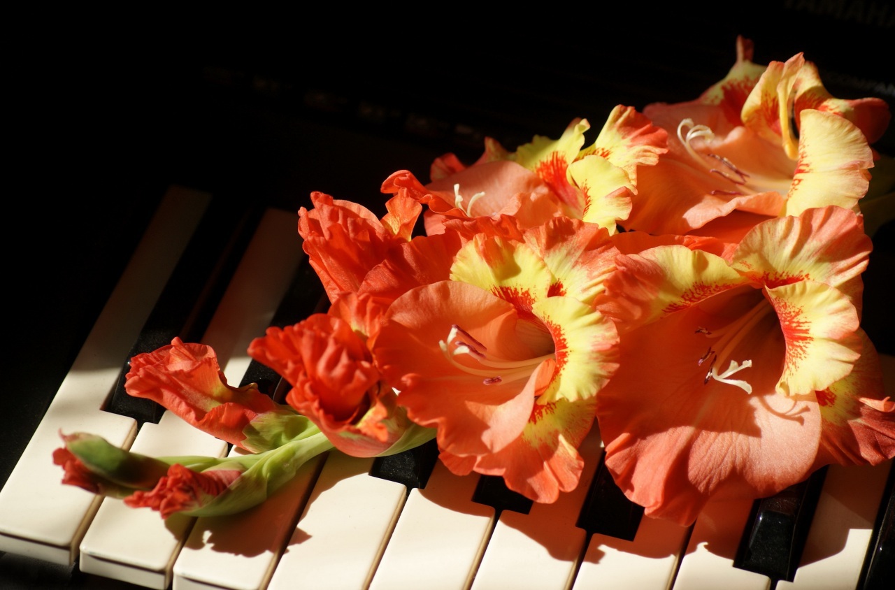 Nature___Flowers_Orange_flowers_with_yellow_gladiolus_083699_.jpg