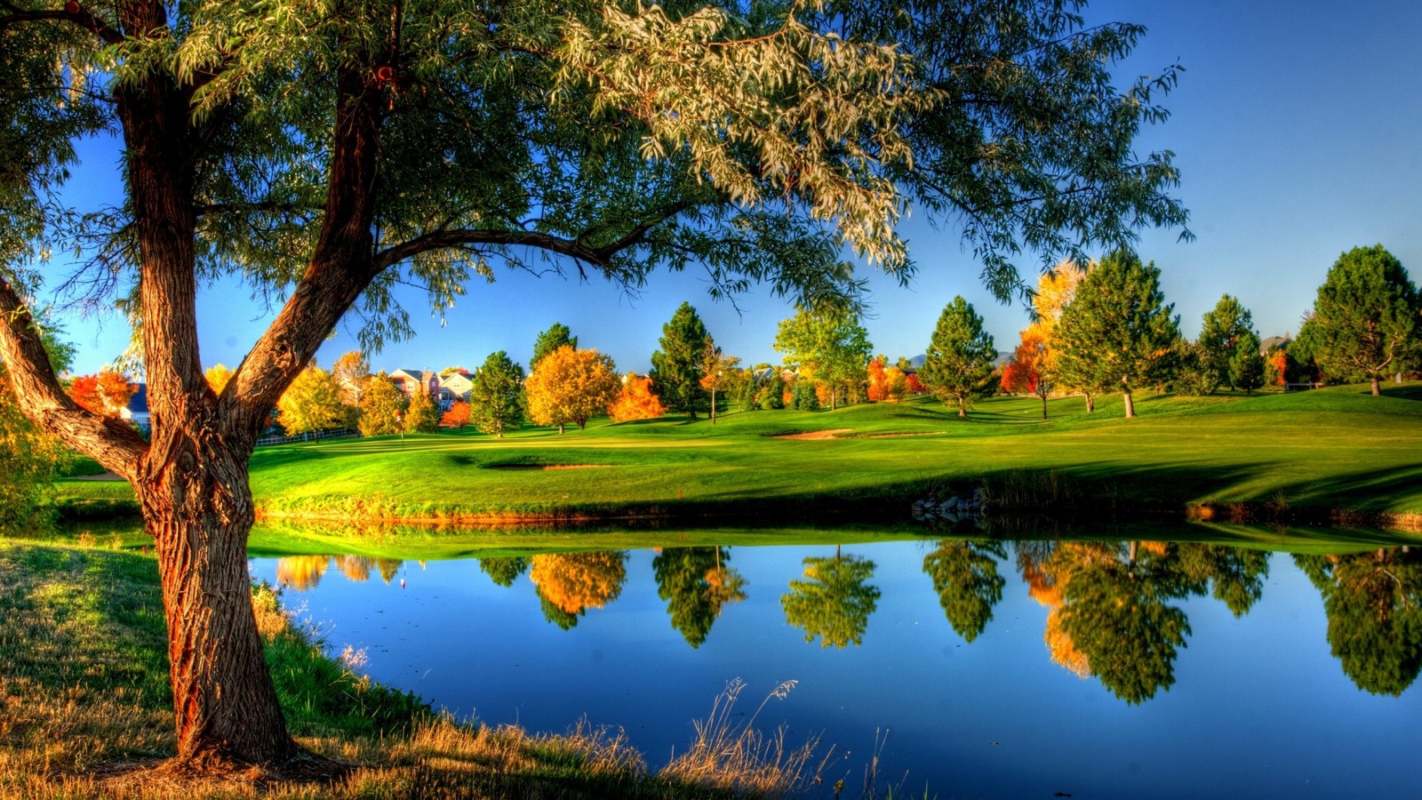 nature_landscape_trees_grass_fall_colorful_water_river-153034.jpg