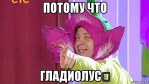 названия (1).webp