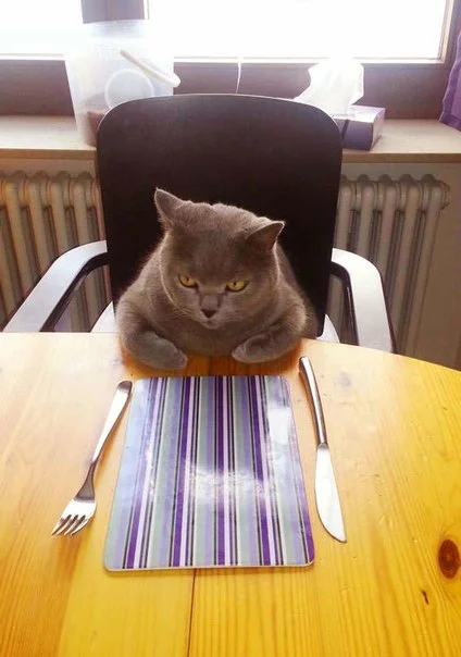 названия (14).webp