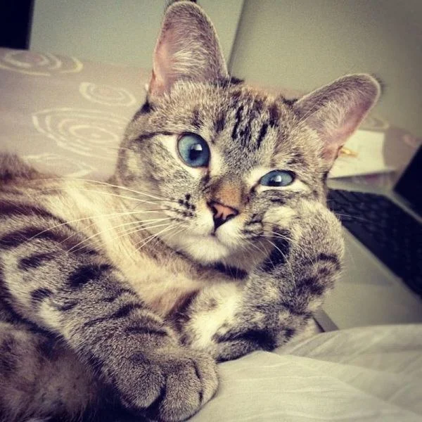 названия (19).webp