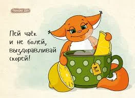 не болей.webp