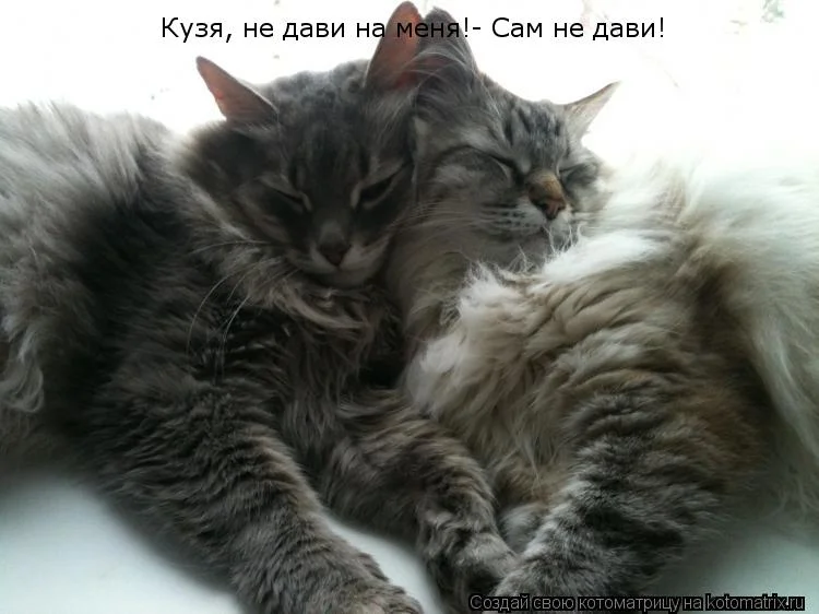 не дави на меня.webp