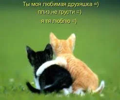 не грусти.webp