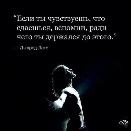 не сдаваться.webp