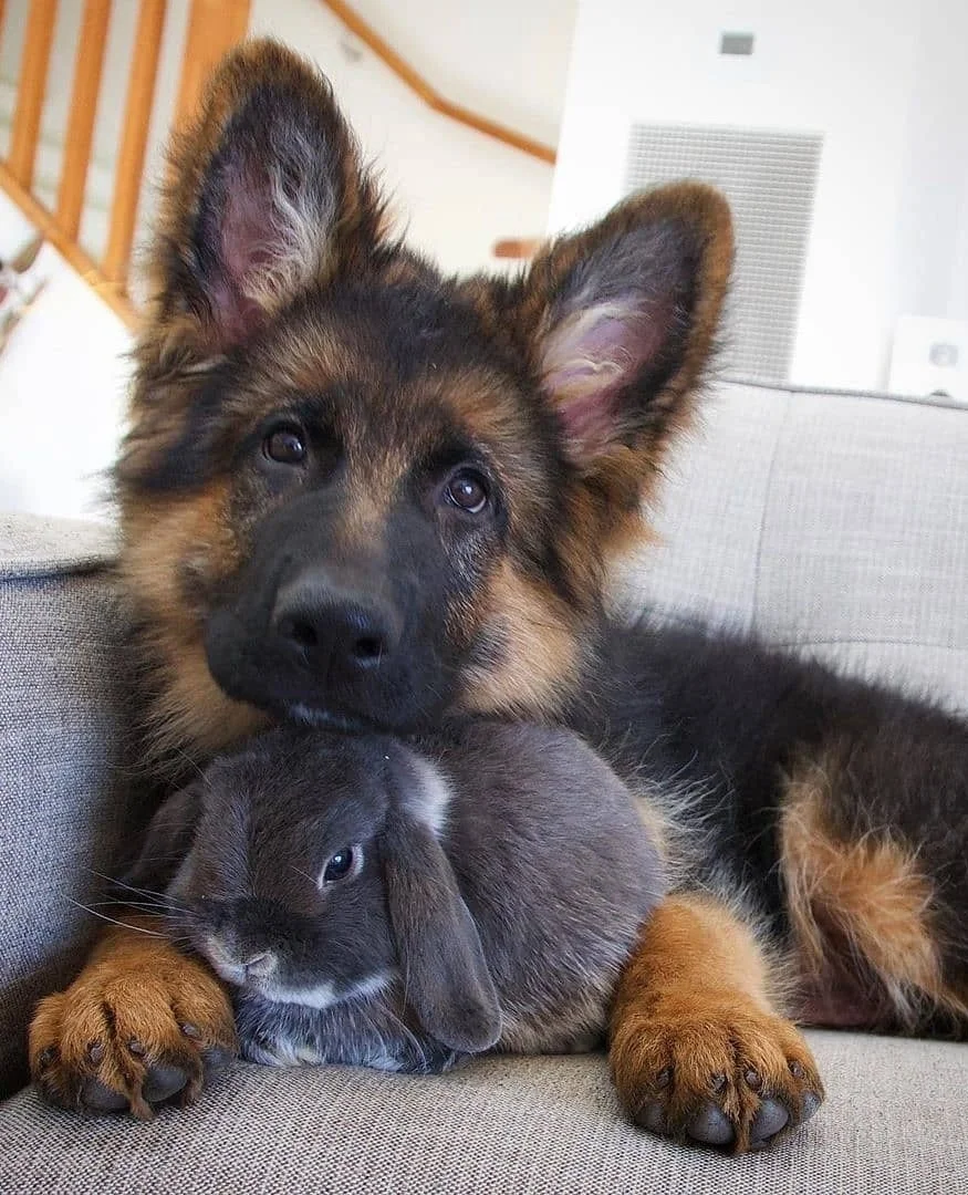 не важно кто твой друг, важно, что вам хорошо вместе.webp