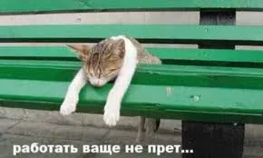 не хочу работать.webp