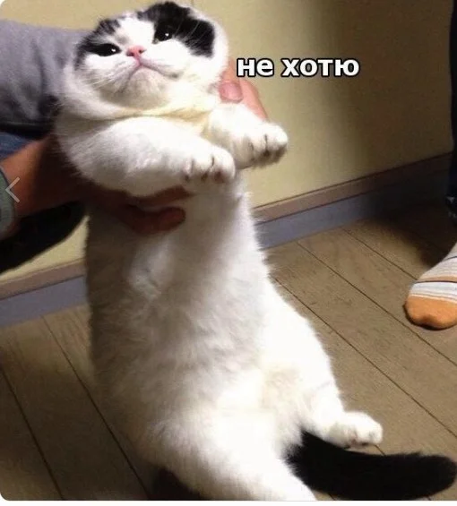 не хотю.webp