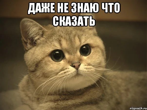 не знаю.webp