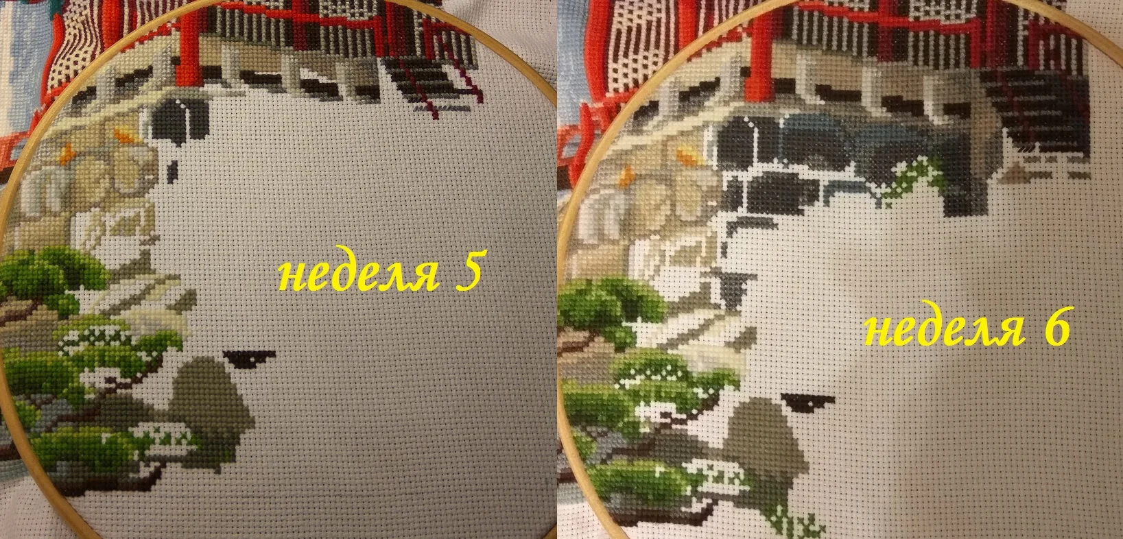 неделя 5-6.webp